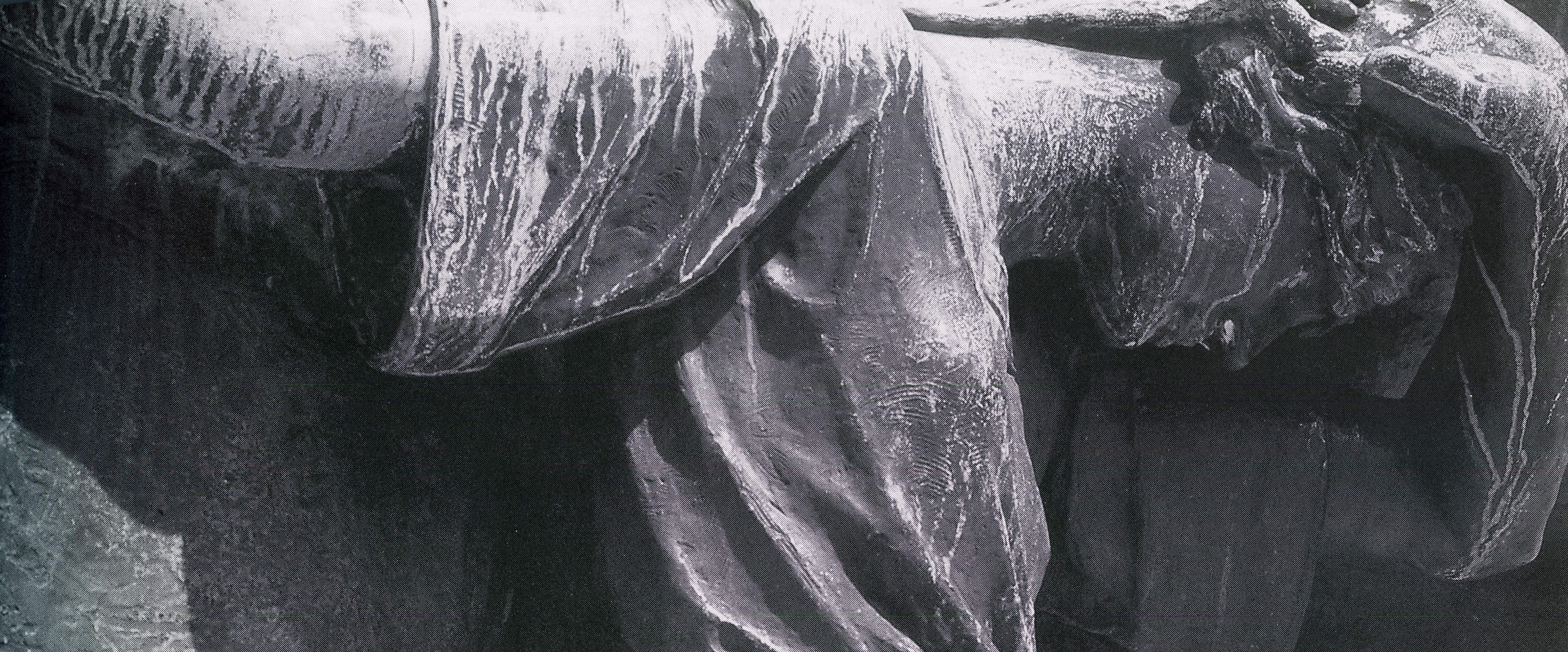 henri-hebert_outemeont-pleurant-ses-morts_1924_p15