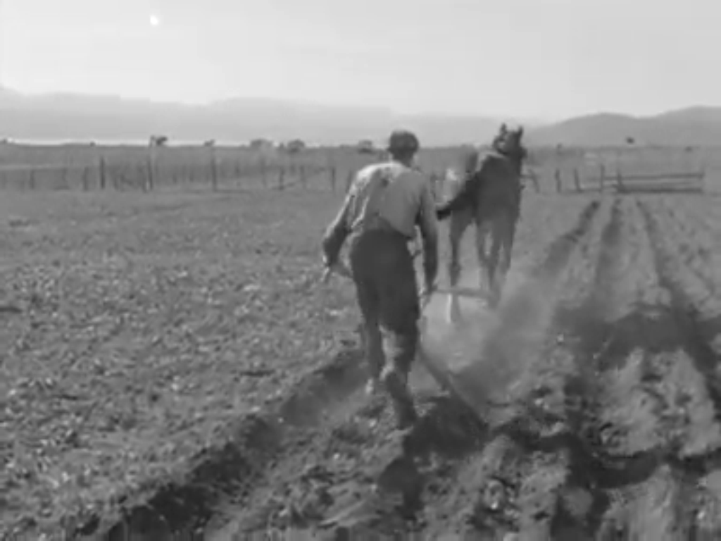 michel-brault_pour-la-suite-du-monde_les-labours