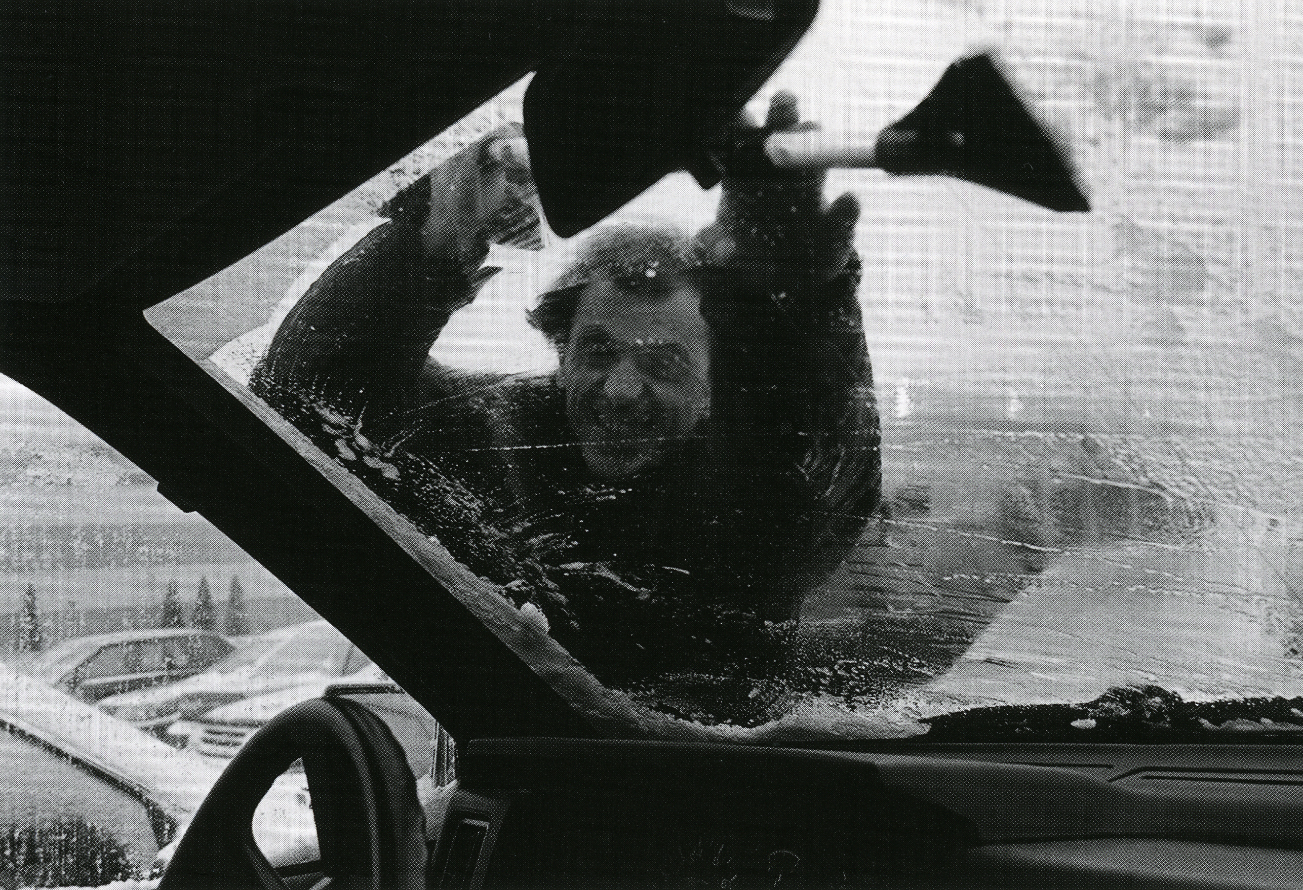 jf-leblanc_normand-blouin-se-dechainant-sur-le-pare-brise-de-son-vehicule-montreal-qc-1999_p24