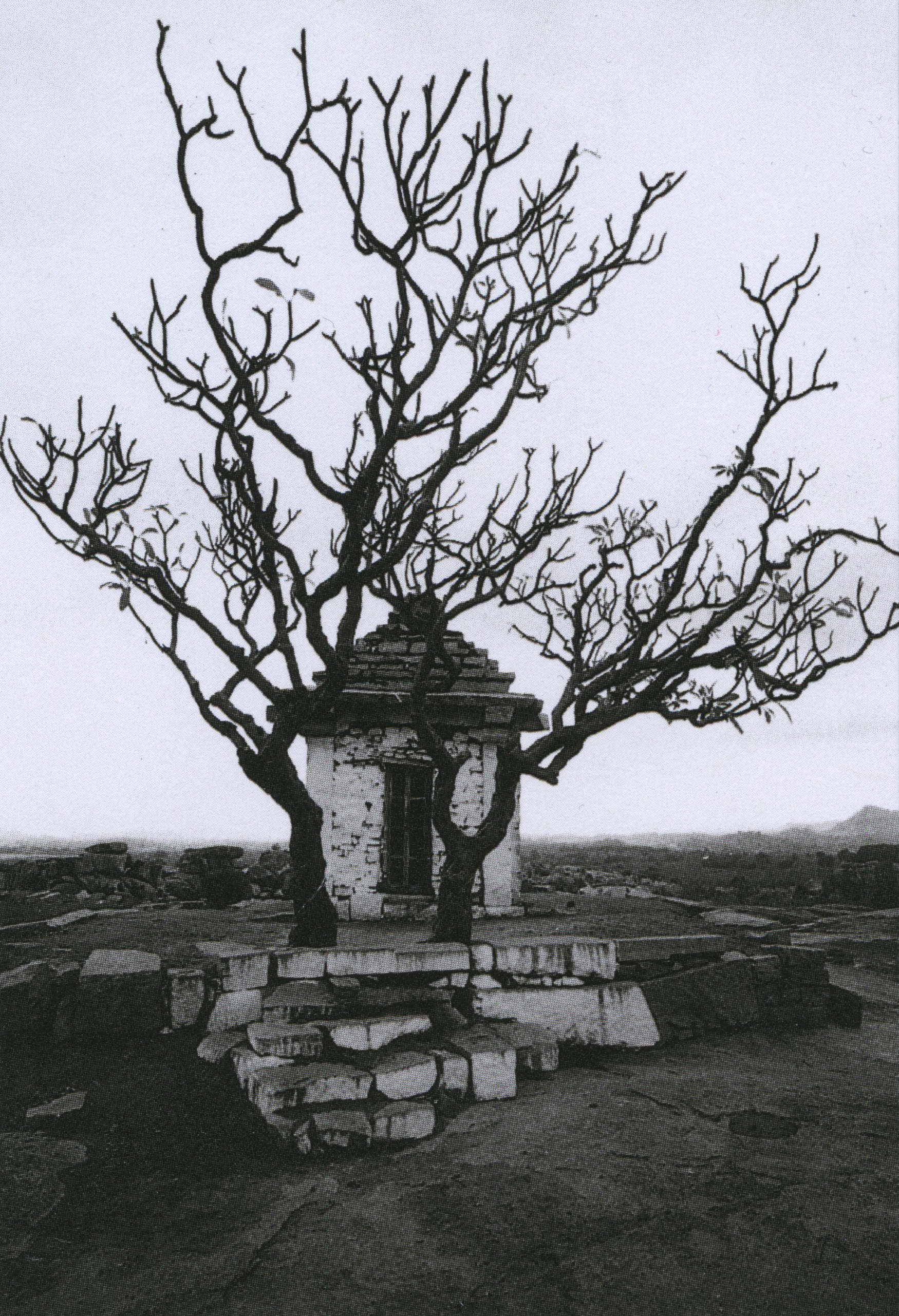 ettore sottsass_arbres_hampi, inde, 1992_p100