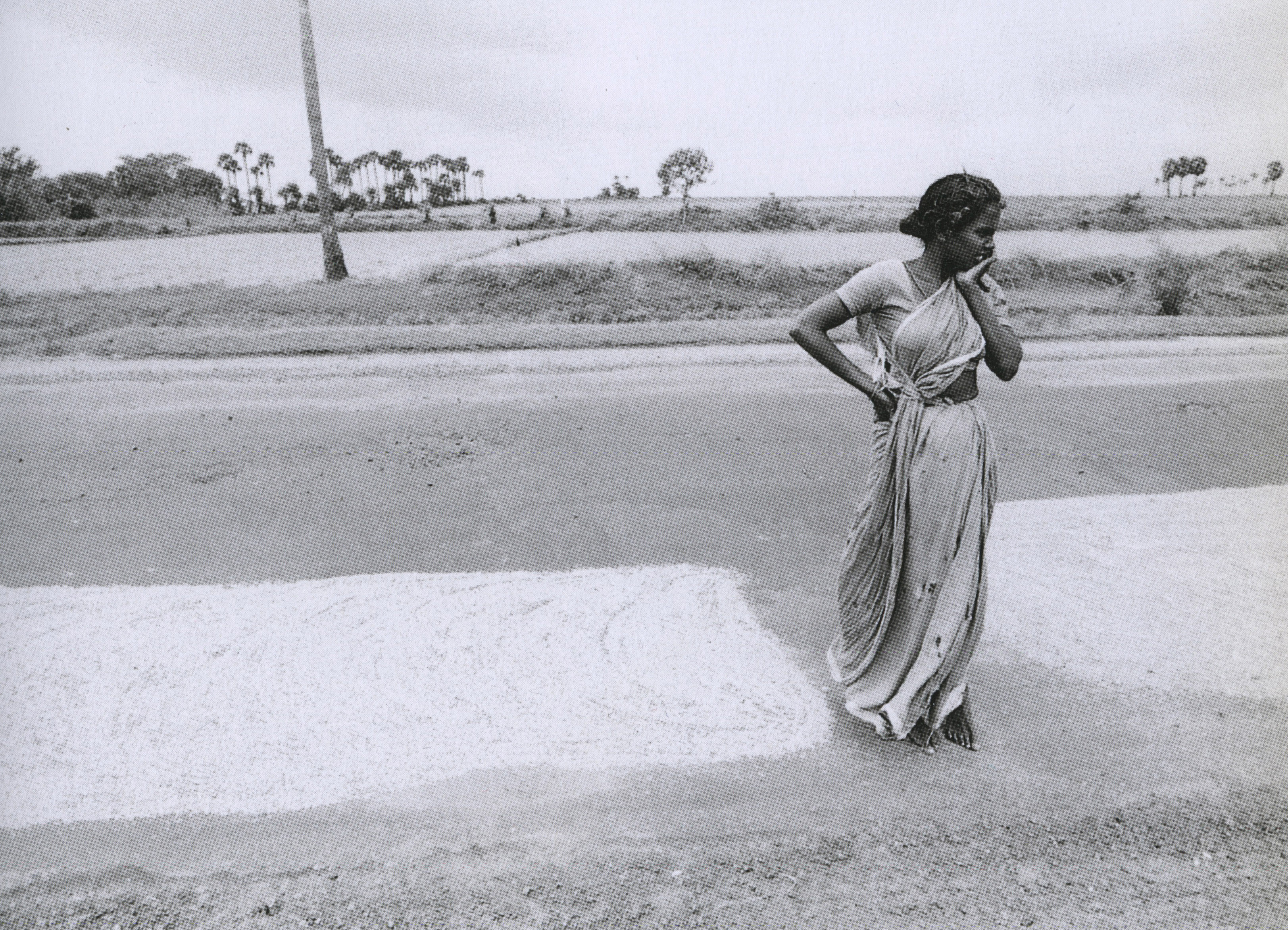 ettore sottsass_eros_inde, 1978_p215