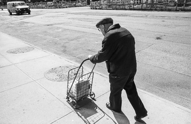 daniel hamaj_courses