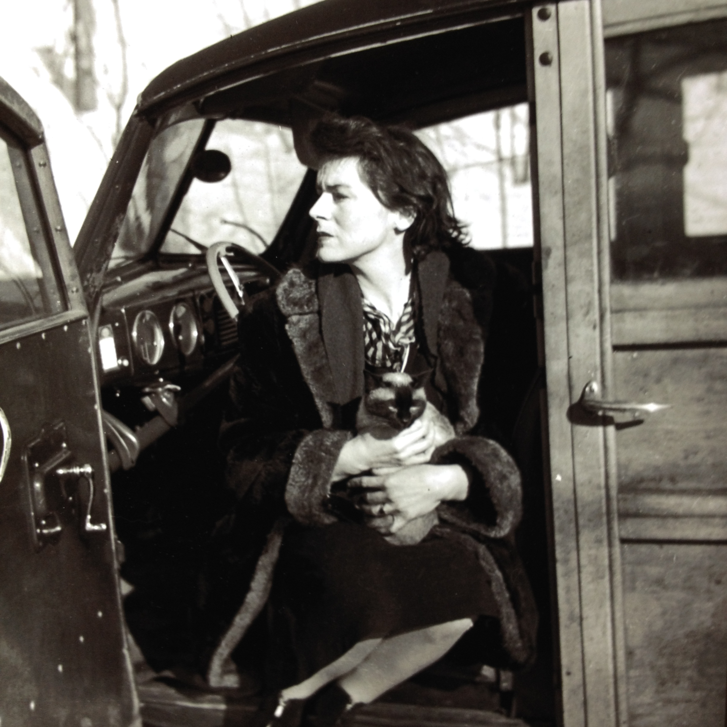 jean palardy_charlevoix_pilote