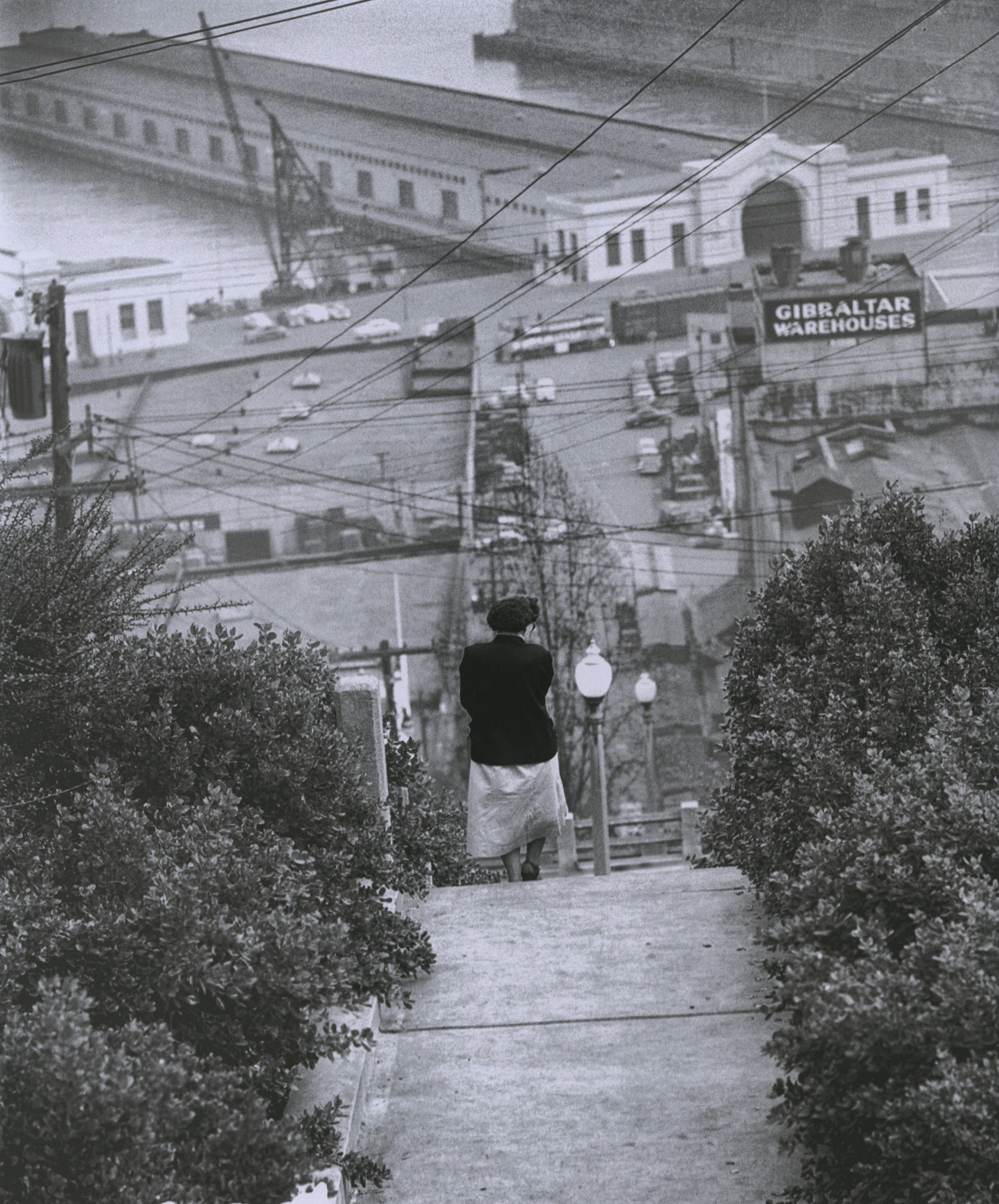 fred lyon_steep stairway from telegraph hill down to waterfront piers_p166