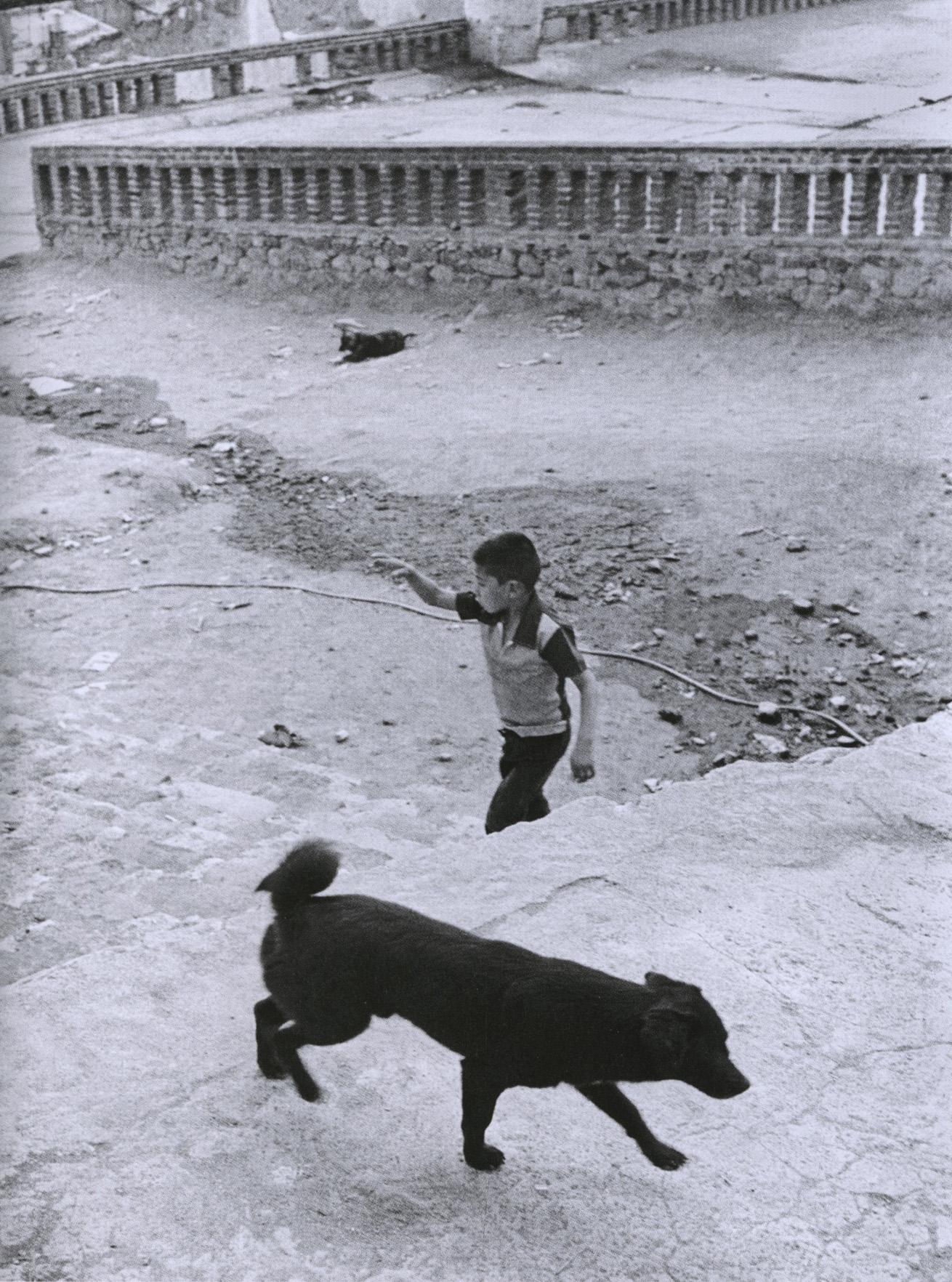 marc antonio cruz_bestiario_diagonales