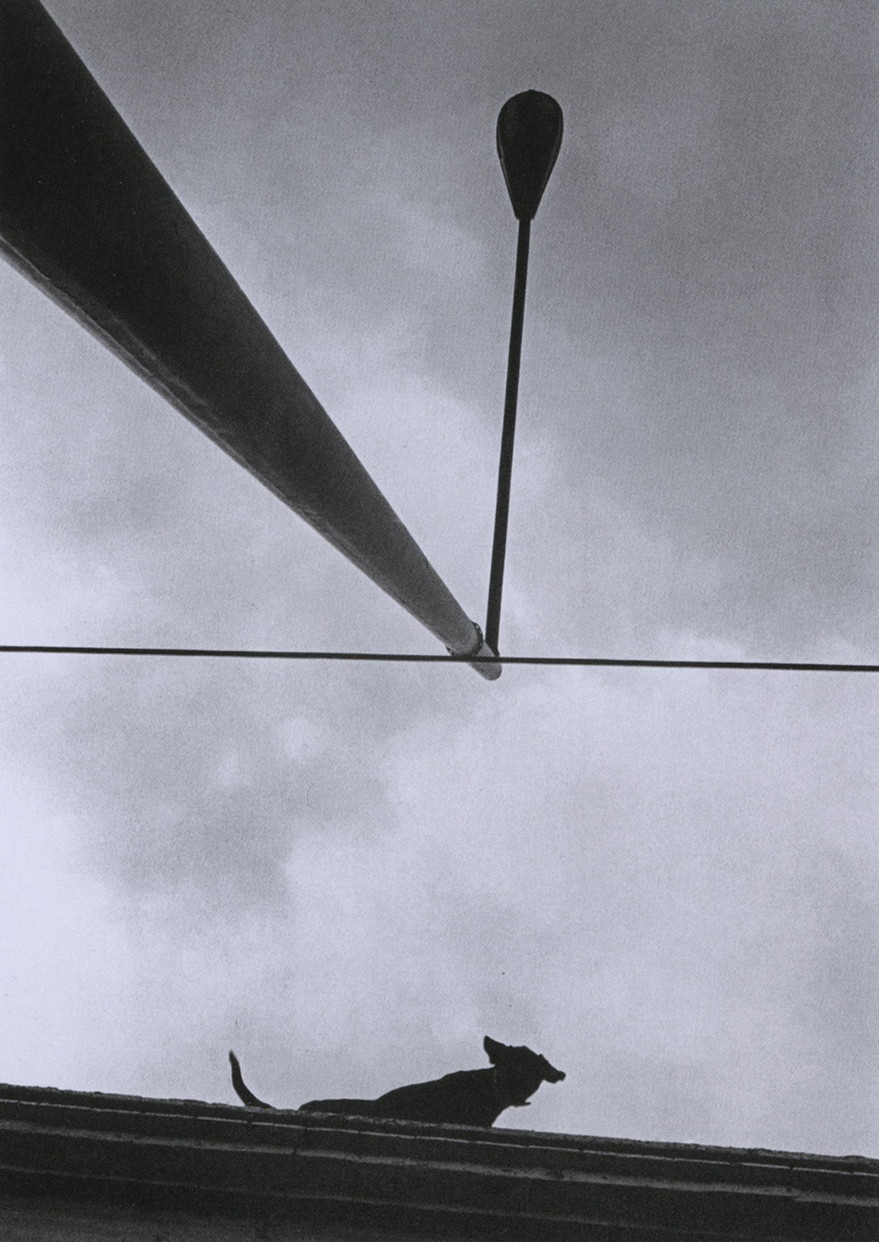 marco antonio cruz_bestiario_lampadaire