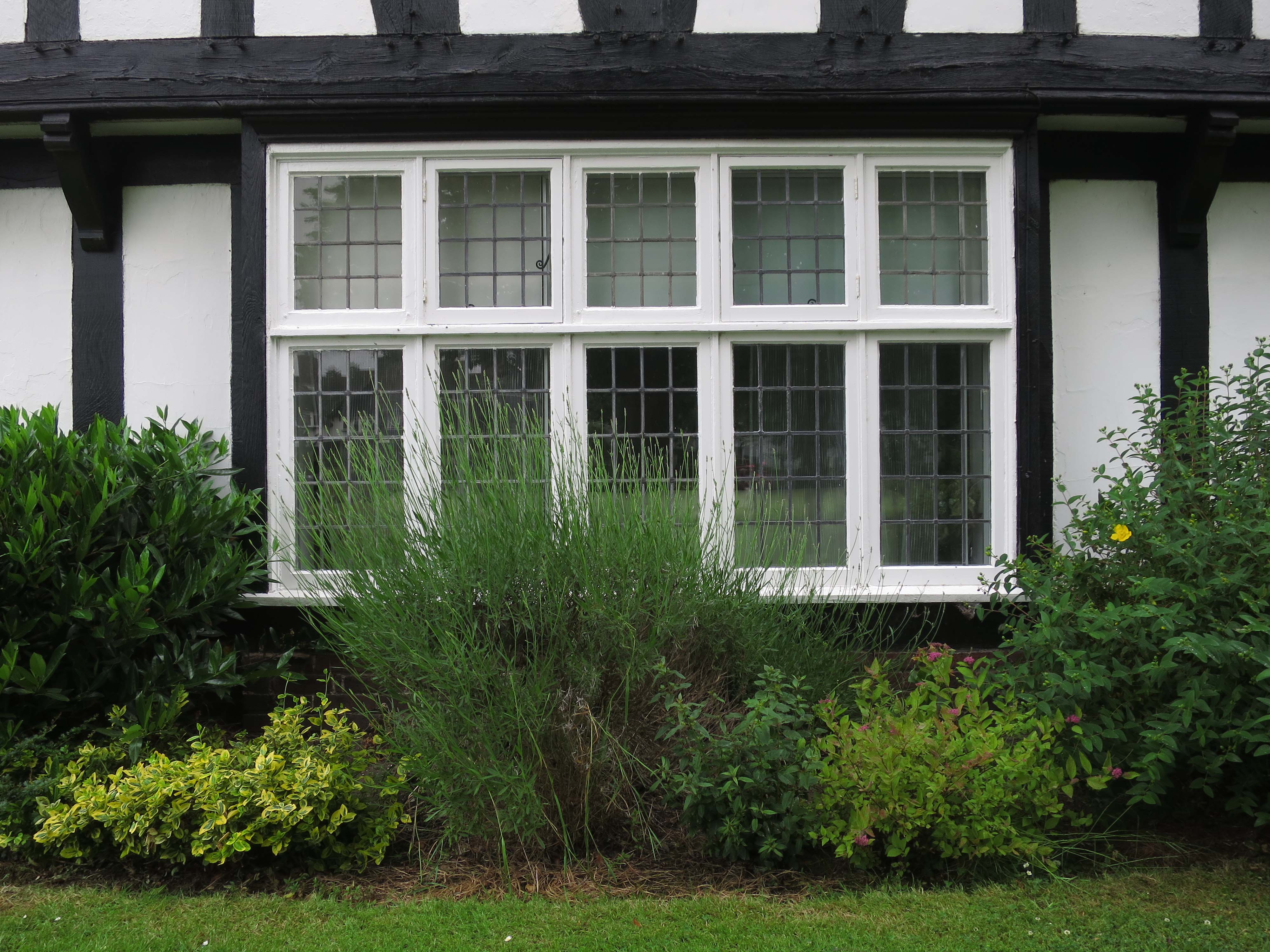 lgodbout_verdure, port sunlight, 2018